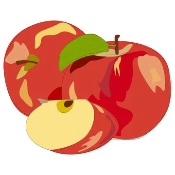 Vector illustration of red apple. Stock Illustration