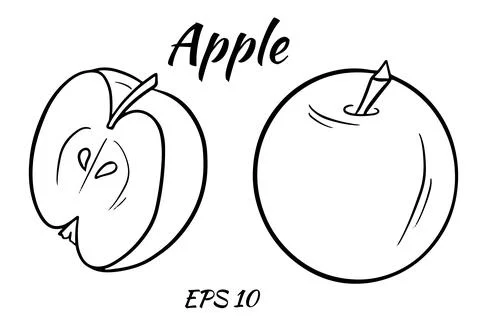 Vector illustration of red apple. Sliced apple isolated on white background. Stock Illustration