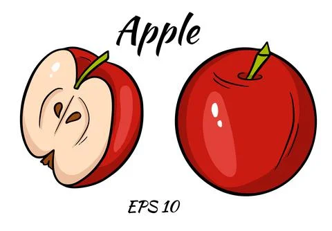 Vector illustration of red apple. Sliced apple isolated on white background. Stock Illustration