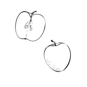 Vector illustration of a red Apple on a white isolated background. Shop sketch Stock Illustration