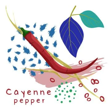 Vector illustration of red cayenne pepper with abstract decorative elements o Illustrazione stock