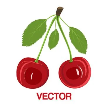 Vector illustration red cherry berries with leaves on white background Stock Illustration