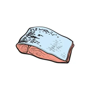 Vector illustration of red fish fillet in sketch style. Illustrazione stock