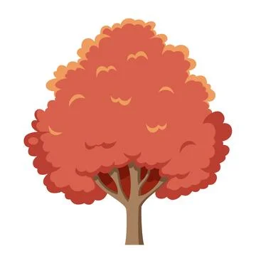 Vector illustration of a red oak tree in cartoon style isolated on white ba.. Stock Illustration