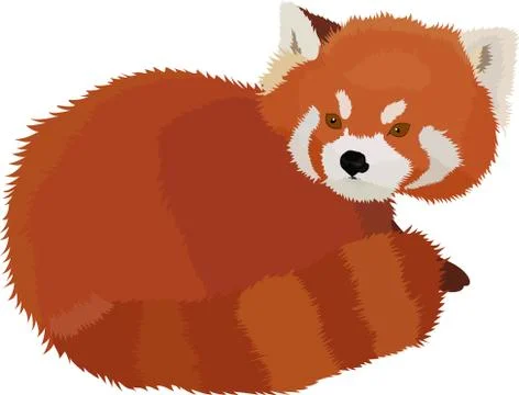 Vector illustration of red panda cartoon style. Illustrazione stock