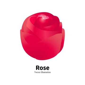 Vector illustration of a red rose bud with pollen Stock Illustration