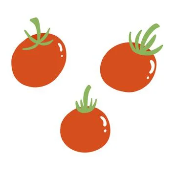 Vector illustration of red tomato. Fresh vegetable in cartoon flat style. Vegie Stock Illustration