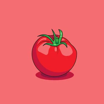 Vector illustration of red tomato fresh Stock Illustration