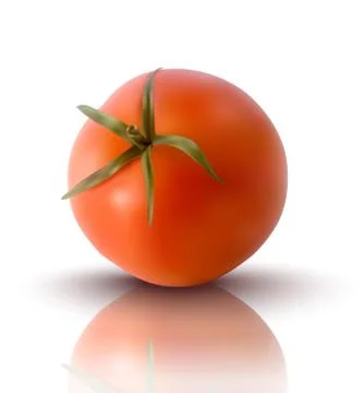 Vector illustration of red tomato Stock Illustration