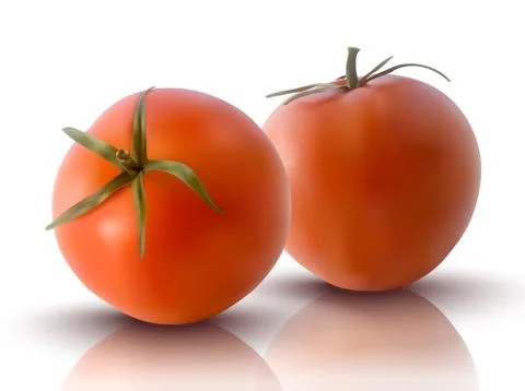 Vector illustration of red tomatoes Stock Illustration