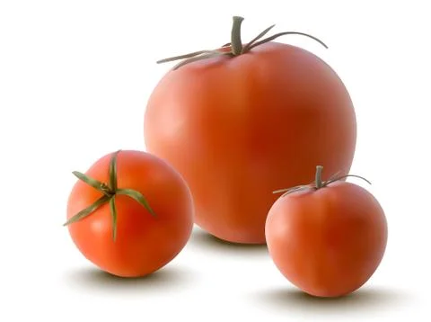 Vector illustration of red tomatoes Stock Illustration