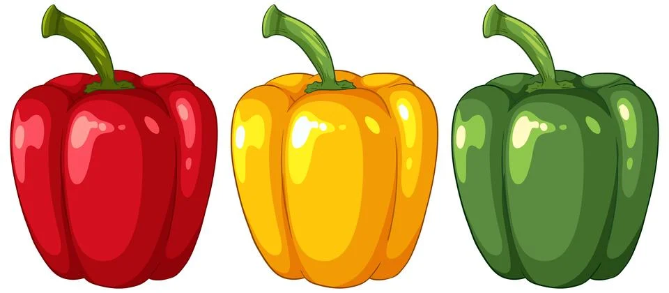Vector Illustration of Red Yellow and Green Bell Peppers Stock Illustration