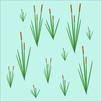 Vector illustration of a reed Bush with grass on a blue background Stock Illustration