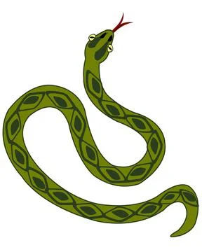 Vector illustration to reptiles snake type overhand Stock Illustration