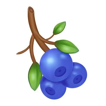Vector illustration of ripe blueberries on a branch with green leaves. Stock Illustration