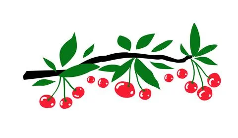 Vector illustration of ripe cherries on leafy branch. Berries and green lea.. Stock Illustration