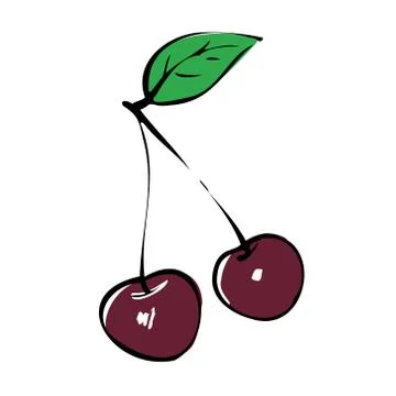 Vector illustration of ripe cherries on a white background. Berries with stems Stock Illustration