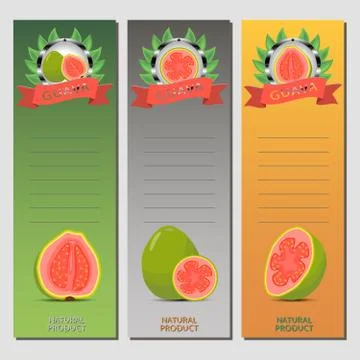 Vector illustration for ripe fruit green guava Illustrazione stock