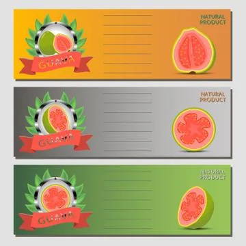 Vector illustration for ripe fruit green guava Illustrazione stock