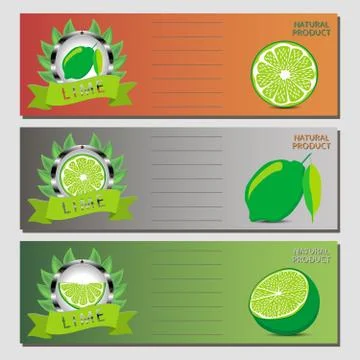 Vector illustration for ripe fruit green lime Stock Illustration