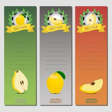 Vector illustration for ripe fruit yellow quince Stock Illustration