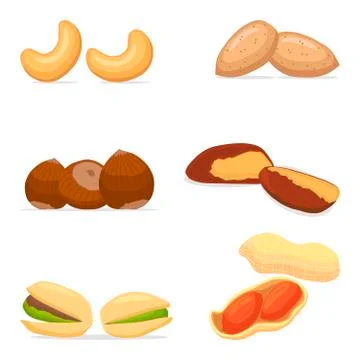 Vector illustration for ripe set nuts 스톡 일러스트