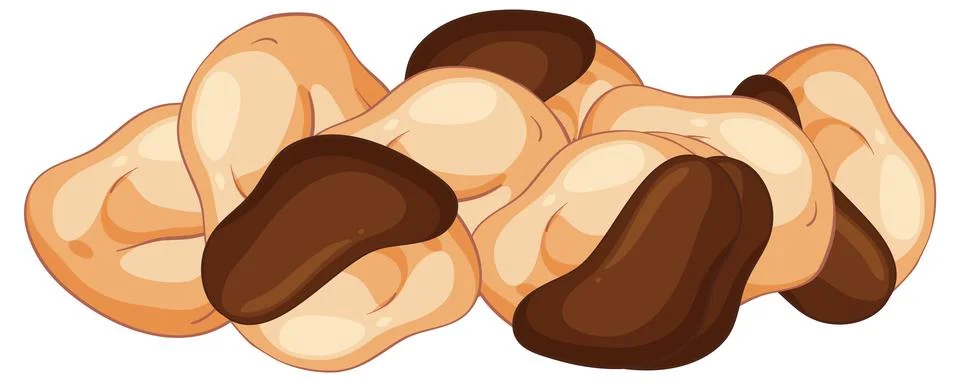 Vector Illustration of Roasted Cashew Nuts with Skins Stock Illustration