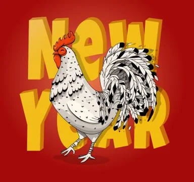 Vector illustration of rooster, symbol of 2017 Stock Illustration