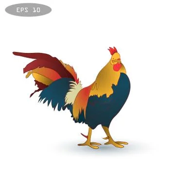 Vector illustration of rooster, symbol 2017 on the Chinese calendar 1v Stock Illustration