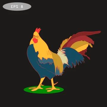 Vector illustration of rooster, symbol  2017 on the Chinese calendar Stock Illustration