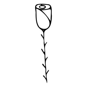 Vector illustration of a rose in doodle style. Stock Illustration
