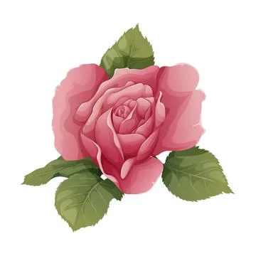 Vector illustration of a rose on an isolated background. Pink flower bud wi.. Stock Illustration