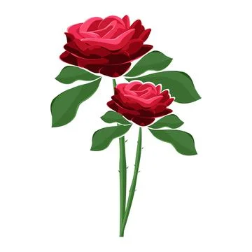 Vector illustration of a rose isolated on white background. Stock Illustration