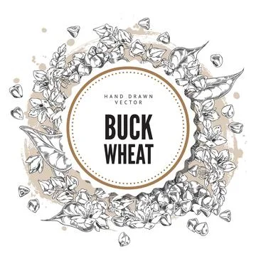 Vector illustration of round frame with leaves, flowers and buckwheat grains. Stock Illustration