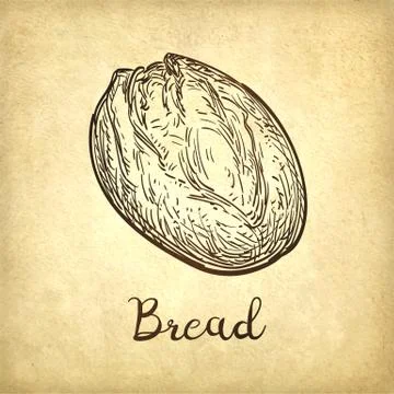 Vector illustration of rustic bread 库存插图