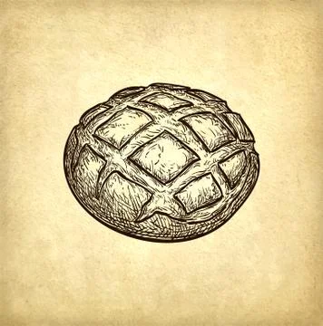 Vector illustration of rustic bread 库存插图