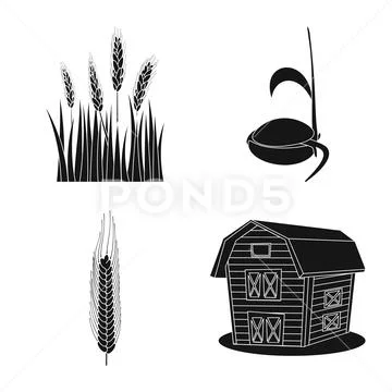 Vector illustration of rye and plant sign. Set of rye and corn stock symbol for Stock Illustration