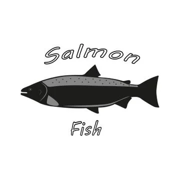 Vector illustration of a salmon fish Stock Illustration