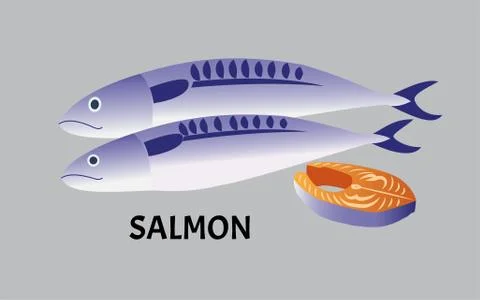 Vector illustration of salmon fish isolated on background Stock Illustration