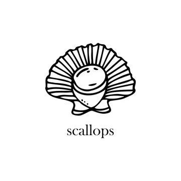 Vector illustration of a scallop on a shell. Seafood. Illustrazione stock
