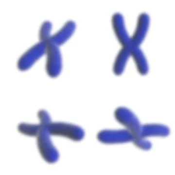 Vector illustration. Science template, wallpaper or banner with a DNA chromosome Stock Illustration