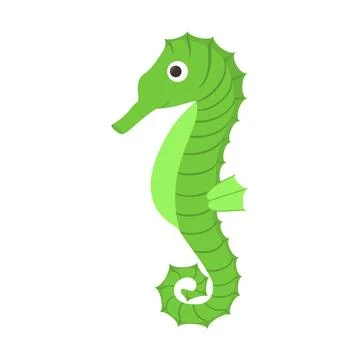 Vector illustration. Seahorse. Isolated object on a white background. Stock Illustration