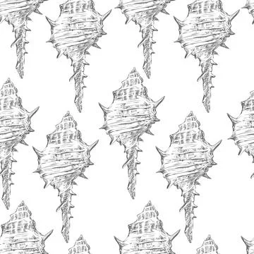 Vector illustration seamless pattern gray hand drawn seashells Stock Illustration