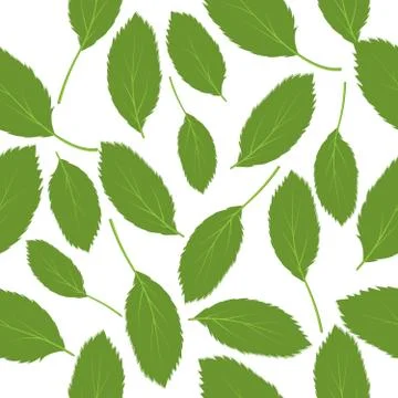 Vector illustration seamless pattern green leaves on white background Stock Illustration