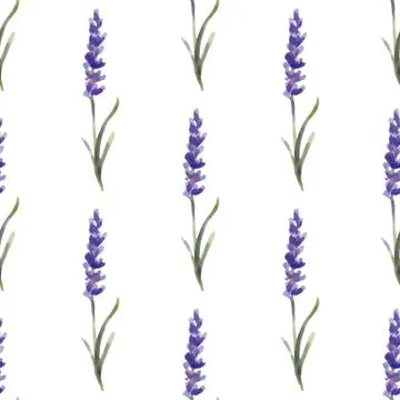 Vector illustration. seamless pattern of lavender flowers. Watercolor painting Stock Illustration
