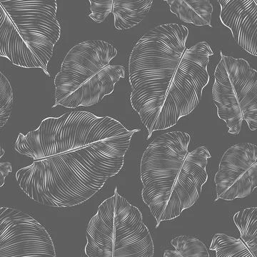 Vector illustration. Seamless pattern. Luxurious white floral print on a gray Stock Illustration