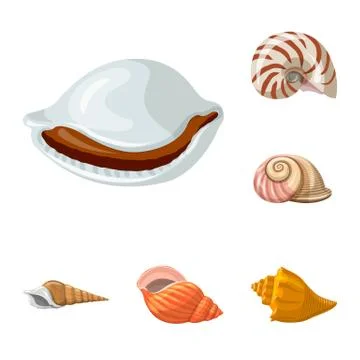 Vector illustration of seashell and mollusk icon. Collection of seashell and Illustrazione stock