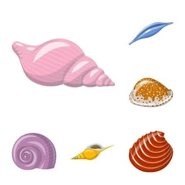 Vector illustration of seashell and mollusk logo. Set of seashell and seafood Stock Illustration