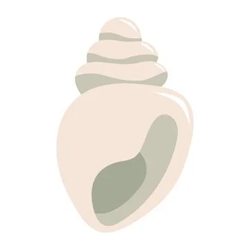 Vector illustration of seashell in cartoon flat style. Conch isolated on whit Stock Illustration