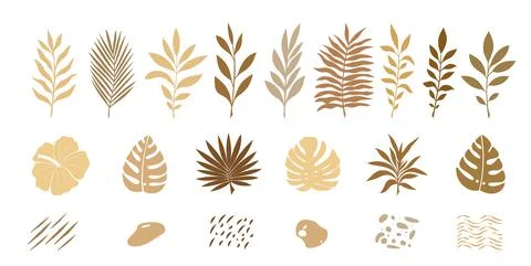 Vector illustration, set of abstract elements, tropical leaves, twigs, jungle Stock Illustration